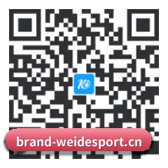 iPhone 专版 二维码